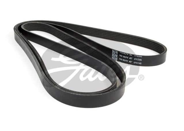 Gates Ribbed Belt